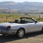 1314CThunderbird009