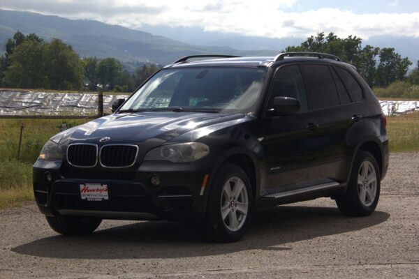1381BMWX5Black2013009